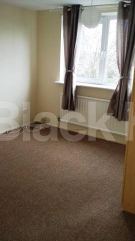 			3 Bedroom, 1 bath, 1 reception Flat			 The Sandlings, Wood Green